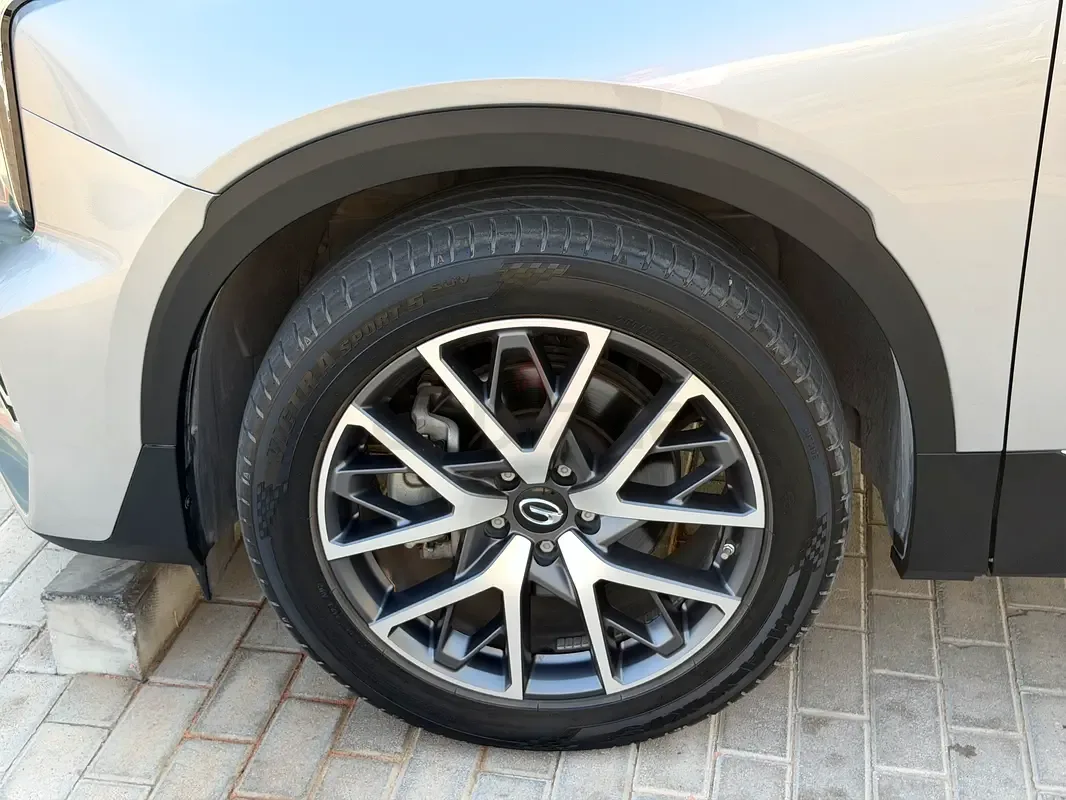 GAC GS8 2.0 AT 4WD (252 hp) - 12