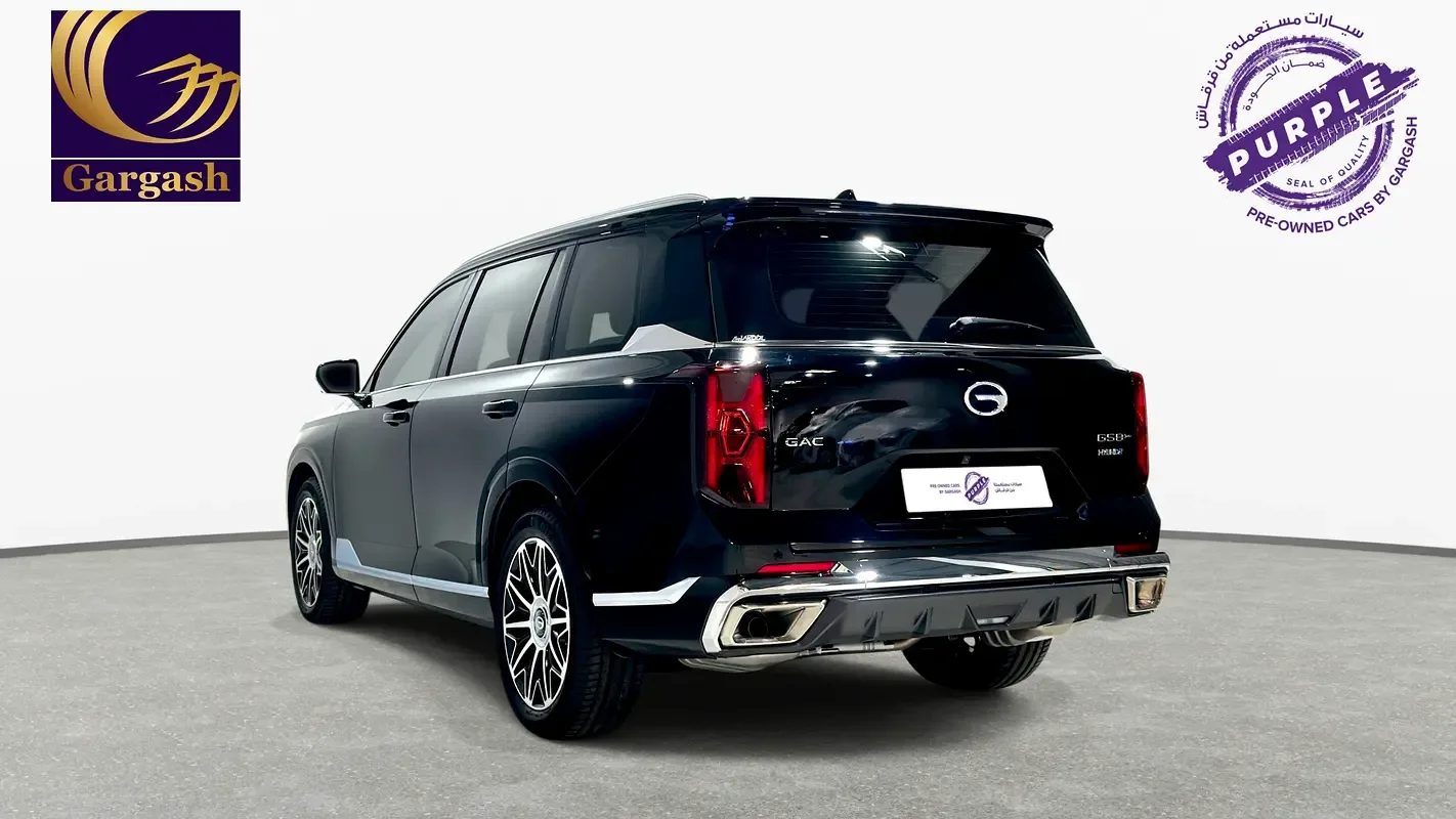 GAC GS8 2.0 AT AWD (231 hp) - 5