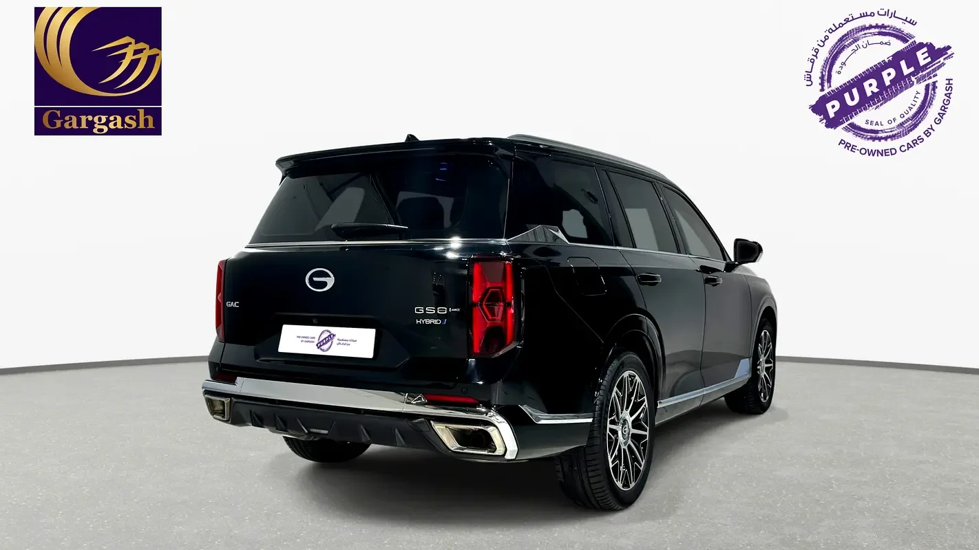 GAC GS8 2.0 AT AWD (231 hp) - 7