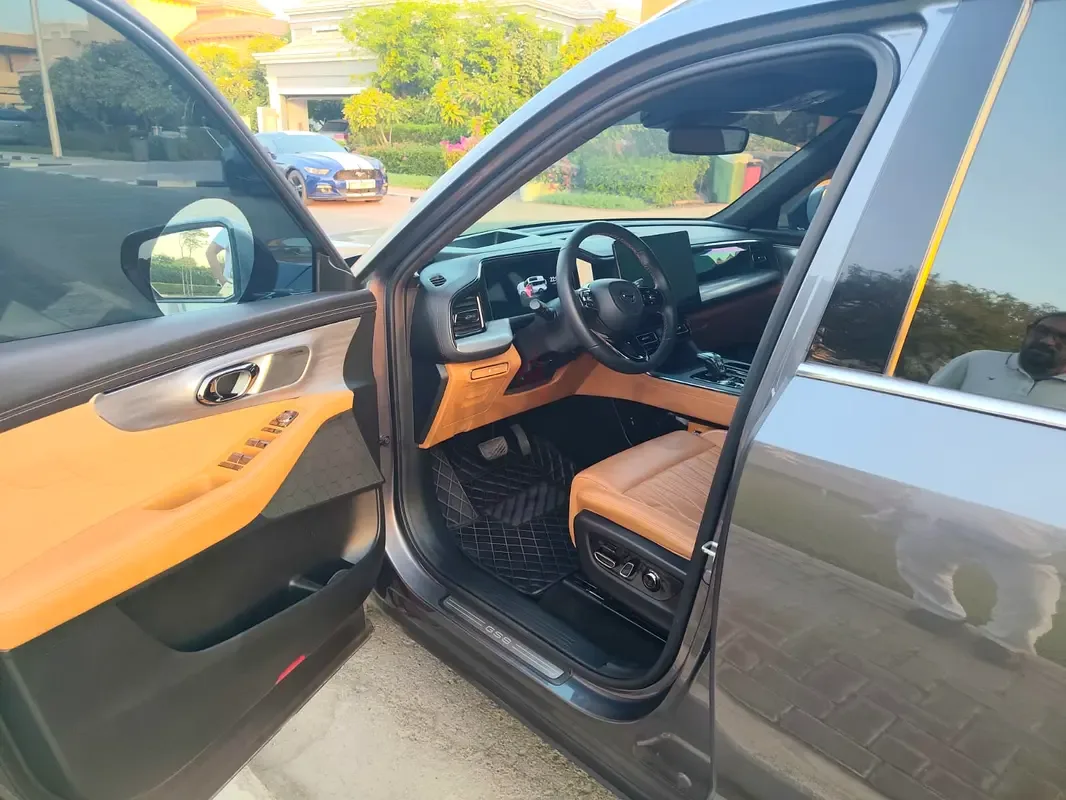 GAC GS8 2.0 AT AWD (231 hp) - 9