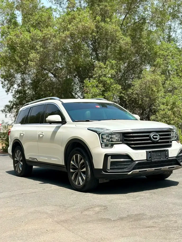 GAC GS8 2.0 l, 190 hp, بنزين, ناقل حركة أوتوماتيكي, Four-wheel drive (4WD)
