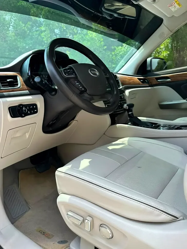 GAC GS8 2.0 l, 190 hp, gasoline, Automatic transmission, Four-wheel drive (4WD) - 10