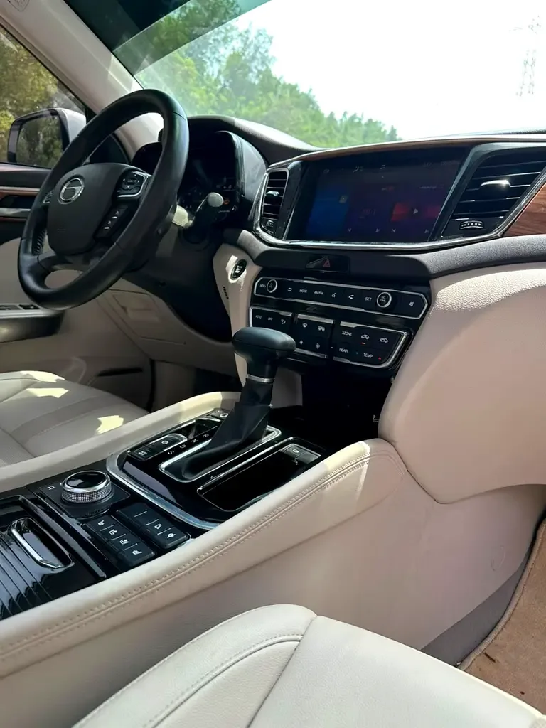 GAC GS8 2.0 l, 190 hp, gasoline, Automatic transmission, Four-wheel drive (4WD) - 14