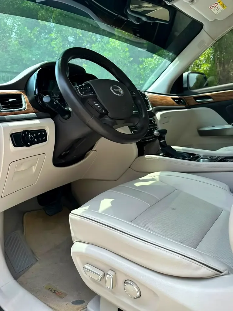 GAC GS8 2.0 l, 190 hp, gasoline, Automatic transmission, Four-wheel drive (4WD) - 16