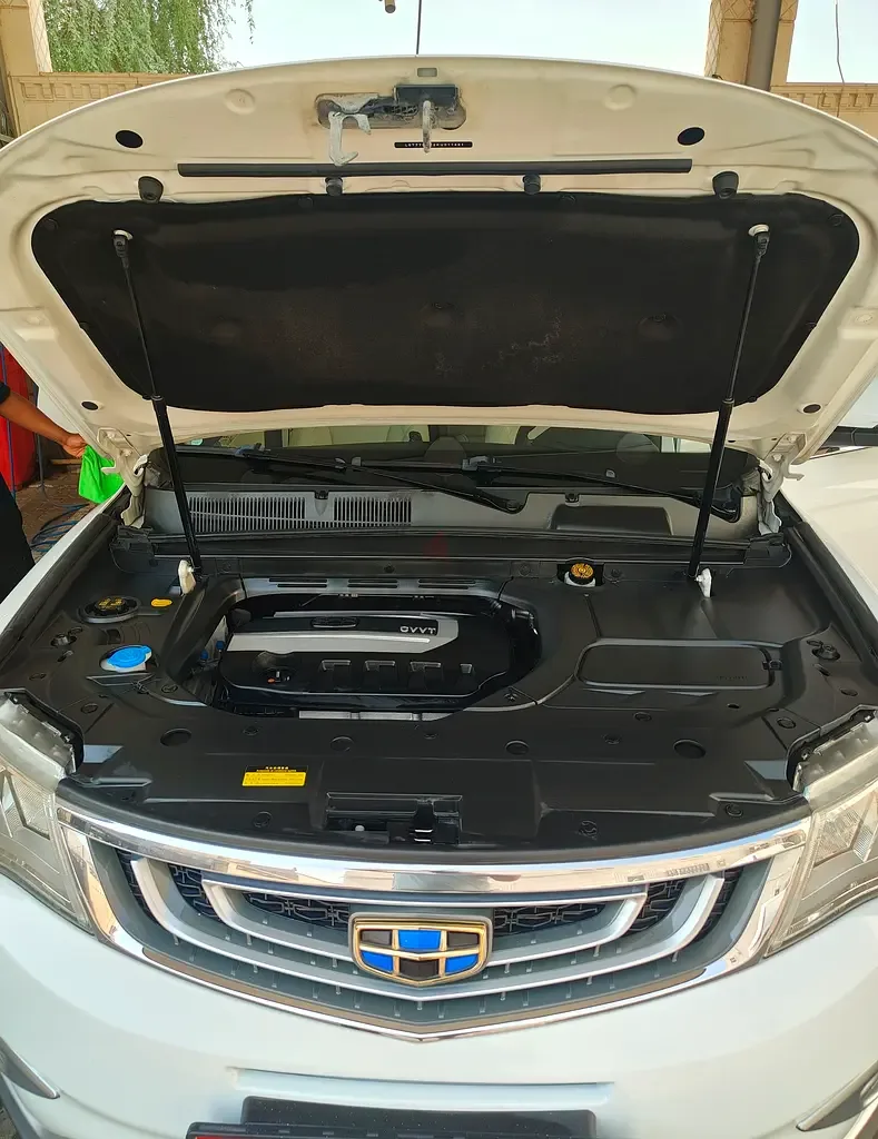 Geely Emgrand X7 2.0 AT (139 حصان) - 6