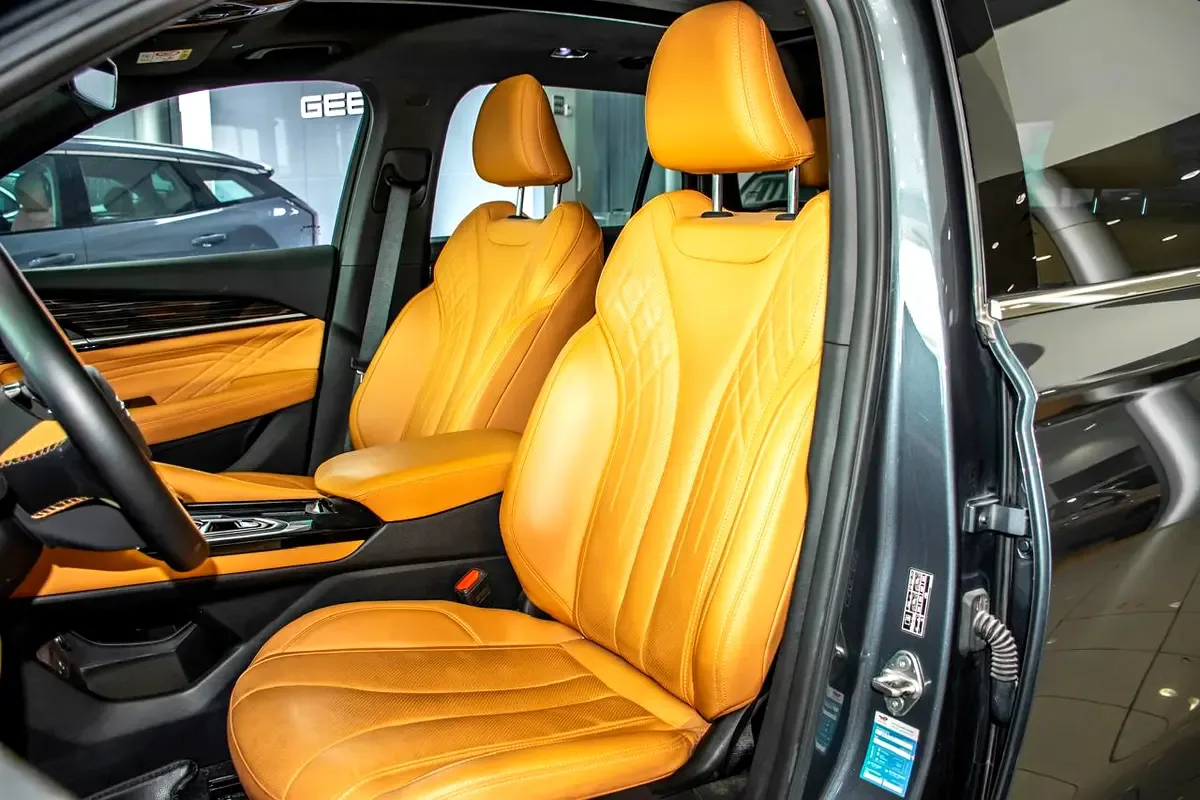 Geely Monjaro 2.0 AT (272 hp) - 10
