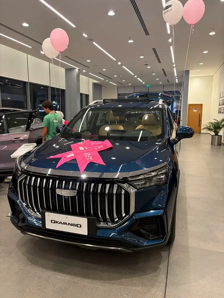 Geely Okavango 2.0 AMT (200 hp) - 13