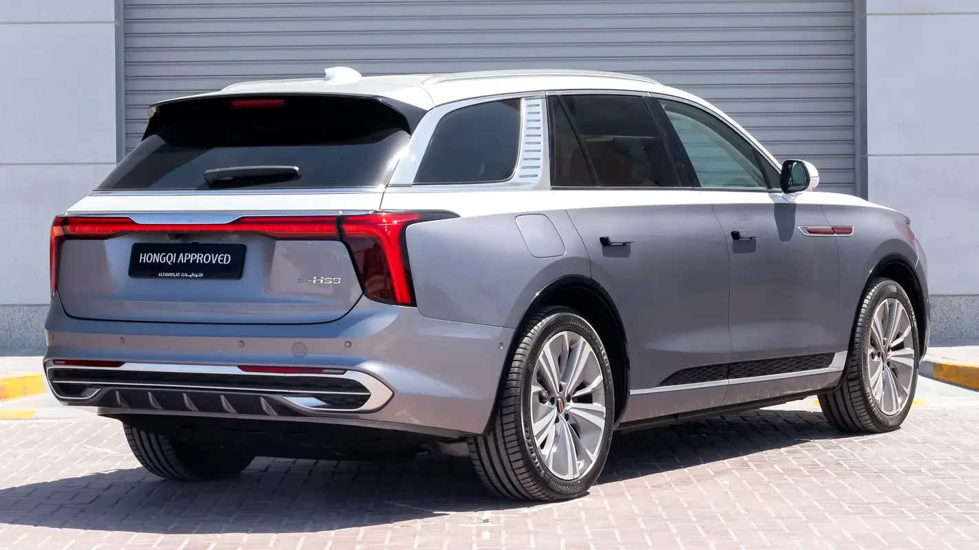 Hongqi E-HS9 AT 4WD (435 hp) - 6