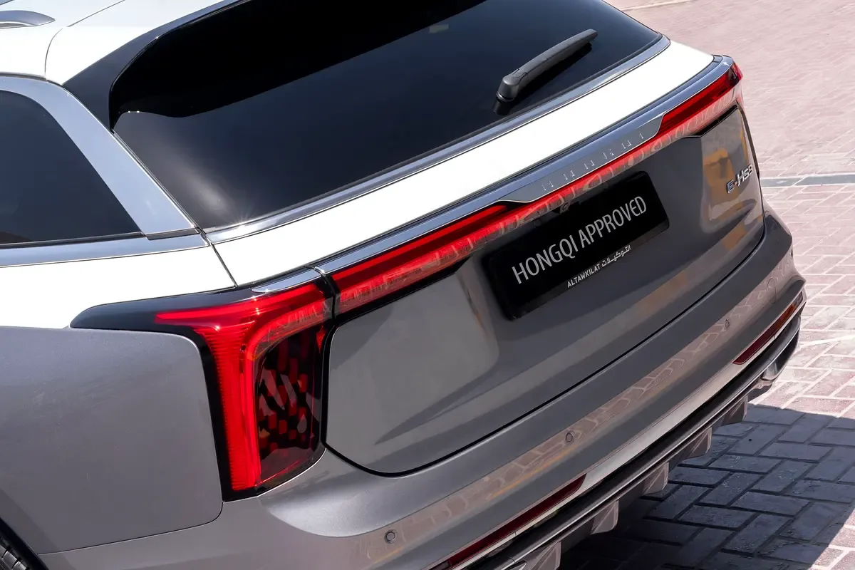 Hongqi E-HS9 AT 4WD (435 hp) - 8