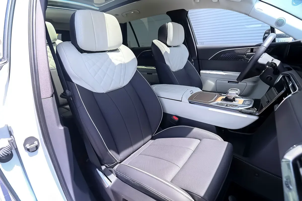 Hongqi E-HS9 AT 4WD (435 hp) - 11