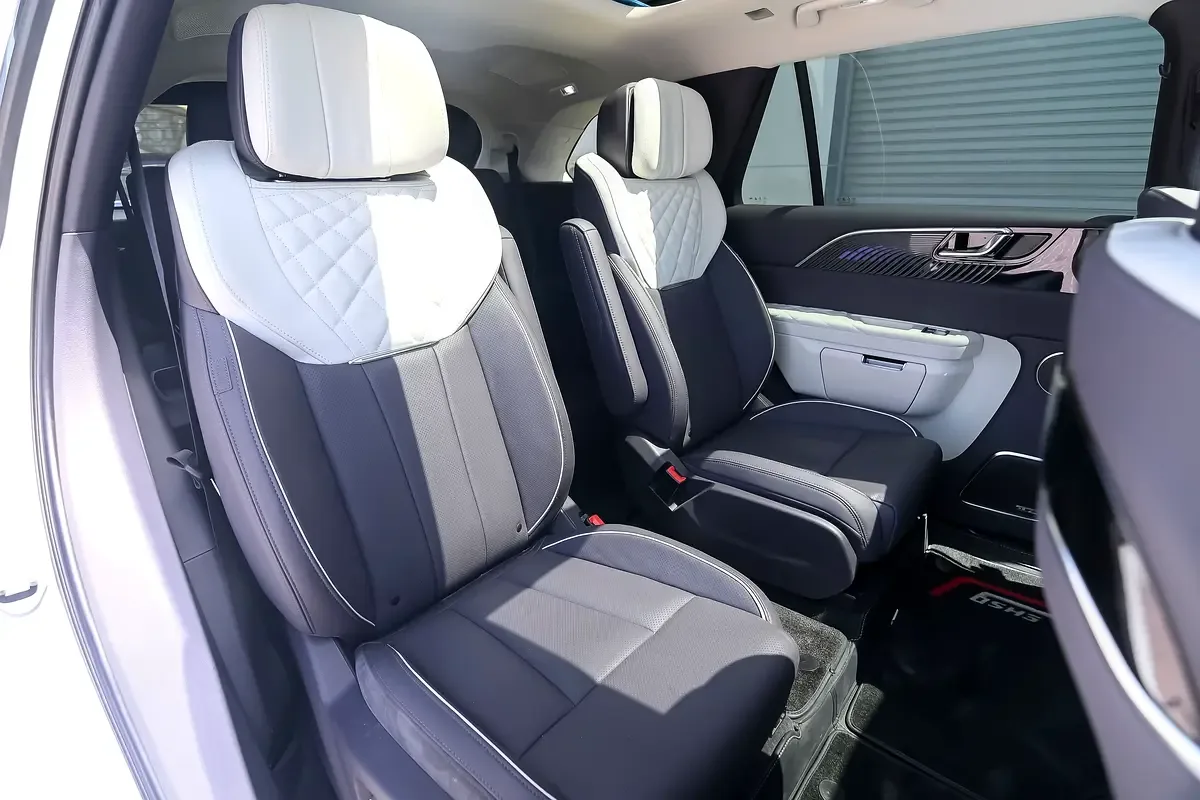 Hongqi E-HS9 AT 4WD (435 hp) - 12