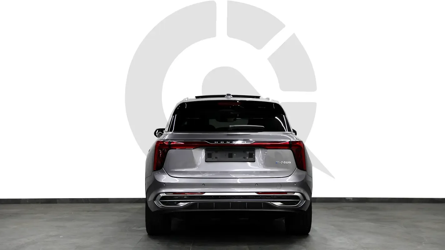 Hongqi E-HS9 AT 4WD (435 hp) - 5