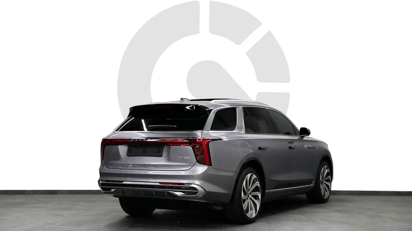 Hongqi E-HS9 AT 4WD (435 hp) - 6