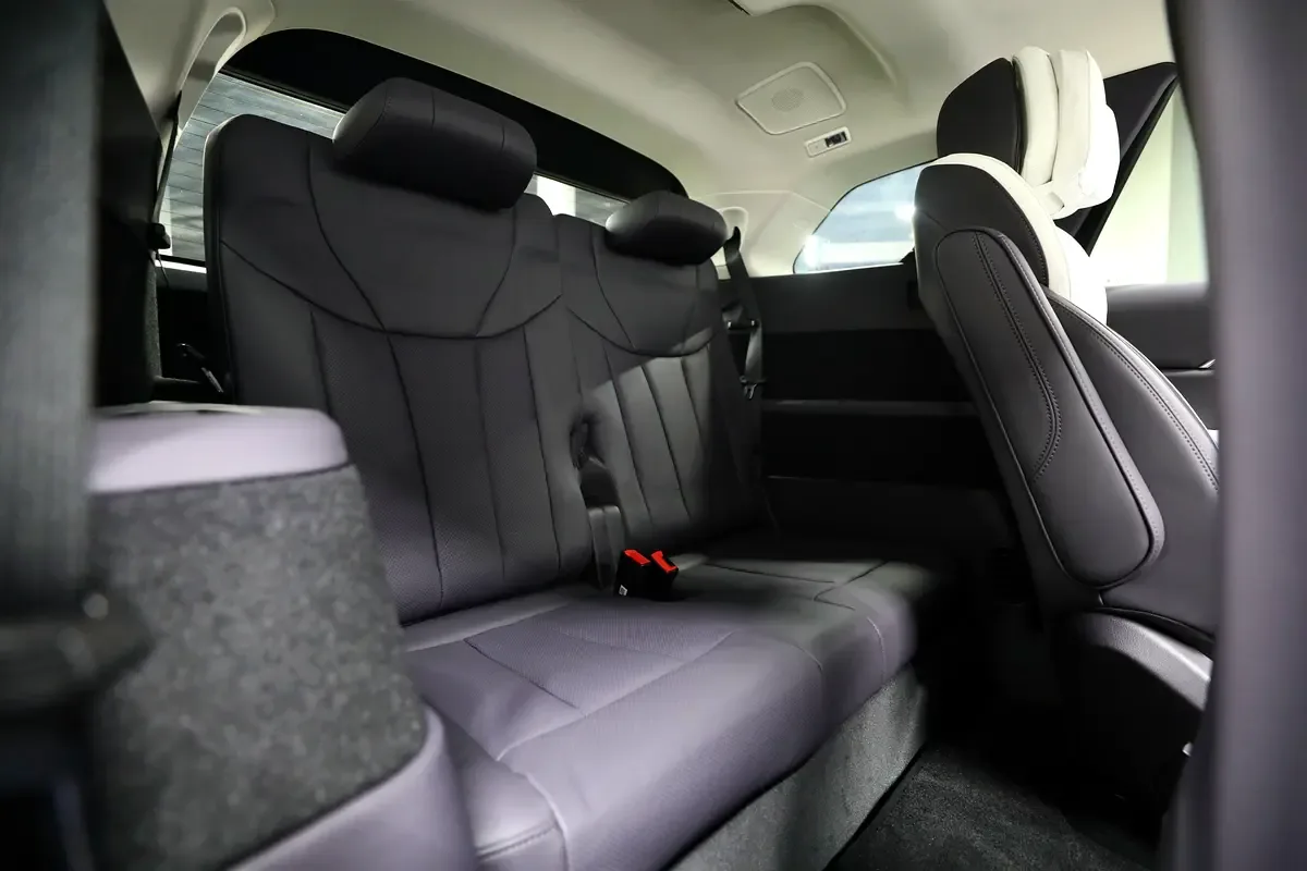 Hongqi E-HS9 AT 4WD (435 hp) - 9