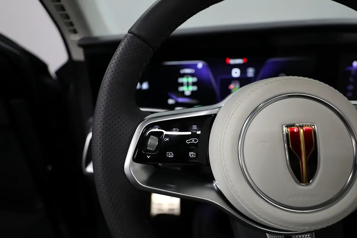 Hongqi E-HS9 AT 4WD (435 hp) - 12
