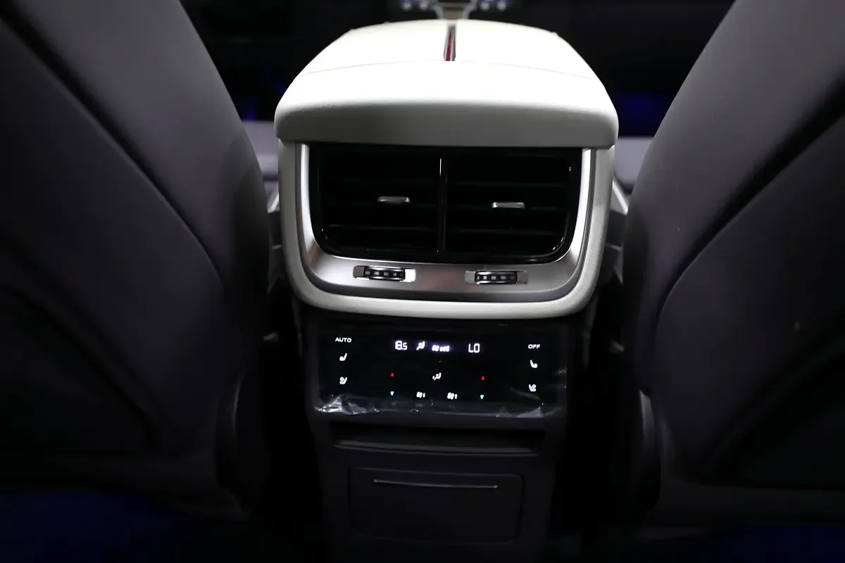 Hongqi E-HS9 AT 4WD (435 hp) - 18