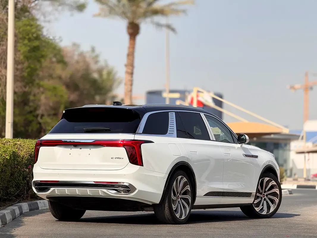 Hongqi E-HS9 AT 4WD (551 حصان) - 2
