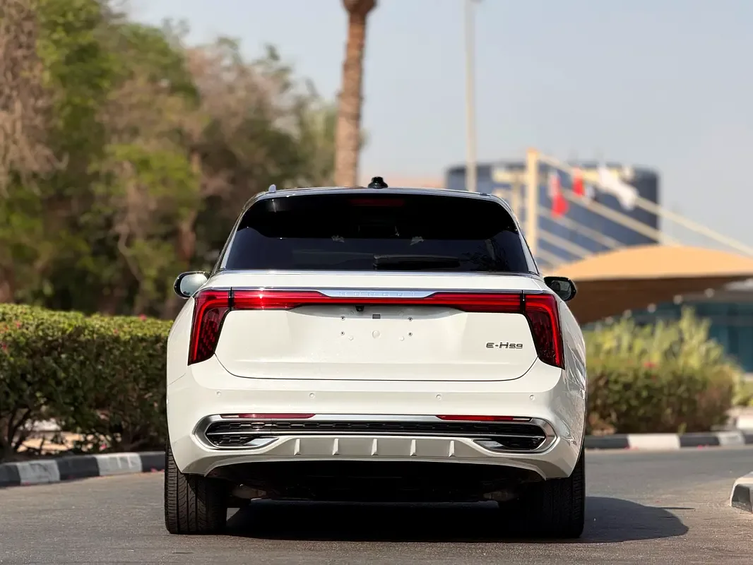 Hongqi E-HS9 AT 4WD (551 حصان) - 4