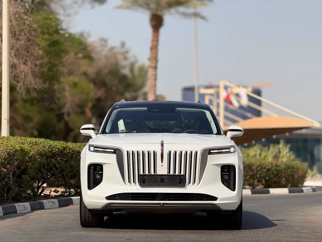 Hongqi E-HS9 AT 4WD (551 حصان) - 3