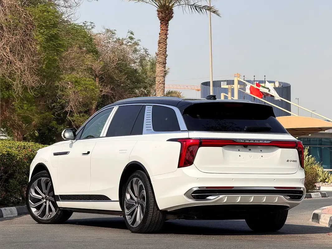 Hongqi E-HS9 AT 4WD (551 حصان) - 6