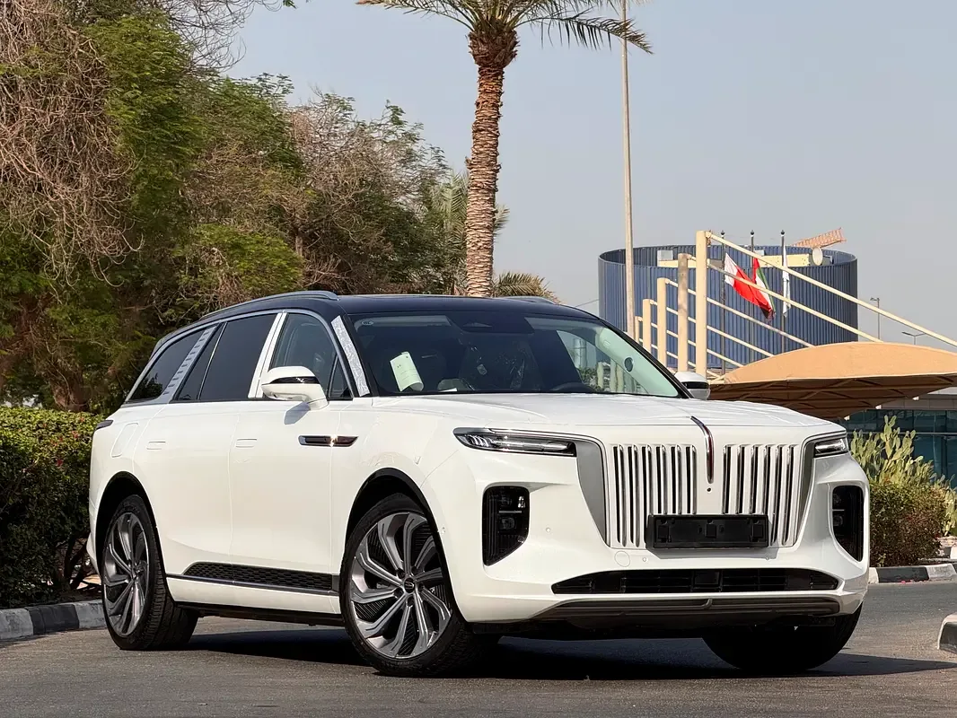 Hongqi E-HS9 AT 4WD (551 حصان) - 5