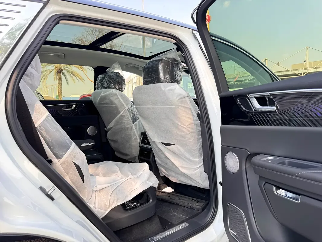 Hongqi E-HS9 AT 4WD (551 حصان) - 18