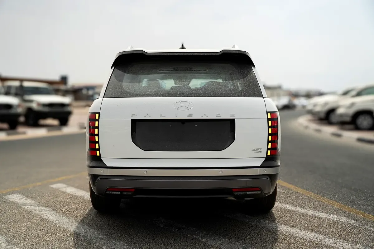 Hyundai Palisade 2.5 AT (281 حصان) - 14