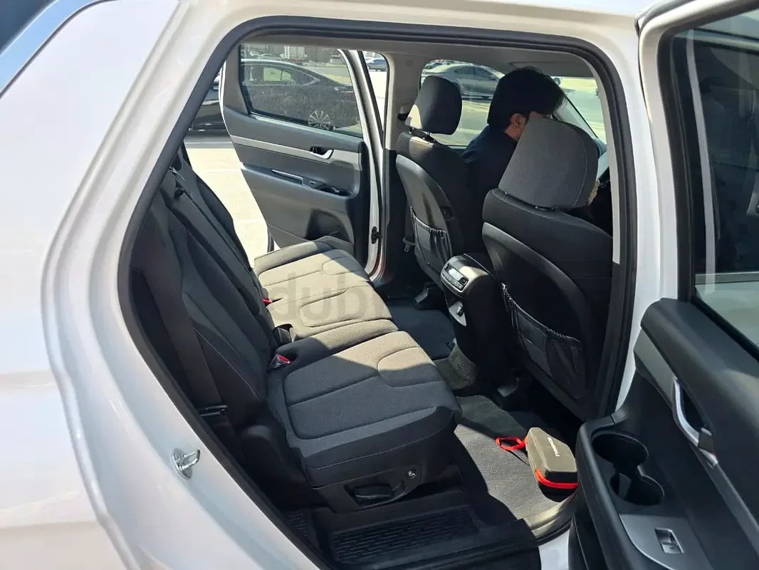 Hyundai Palisade 3.8 AT 4WD (291 حصان) - 12