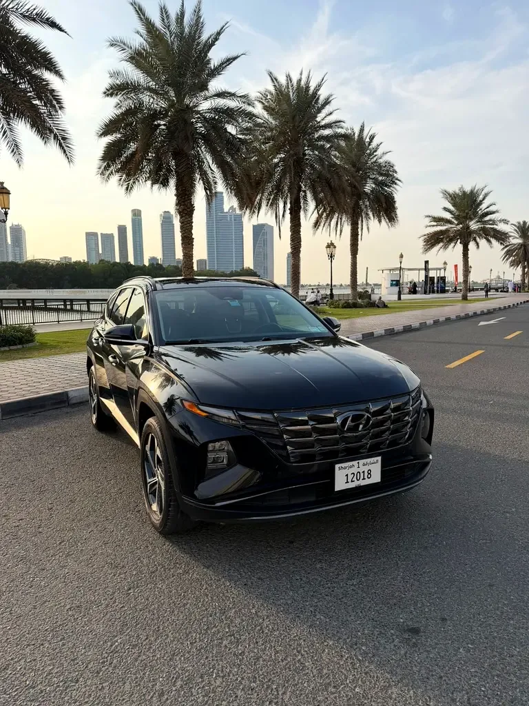 Hyundai Tucson 2.5 AT 4WD (190 hp)