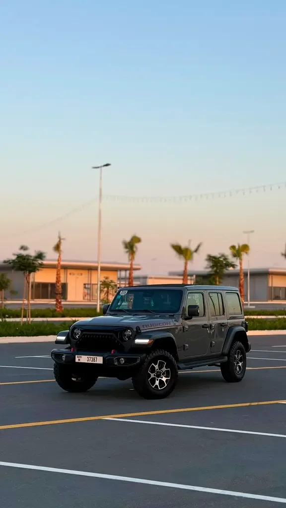 Jeep Wrangler 2.0 AT AWD (272 hp)
