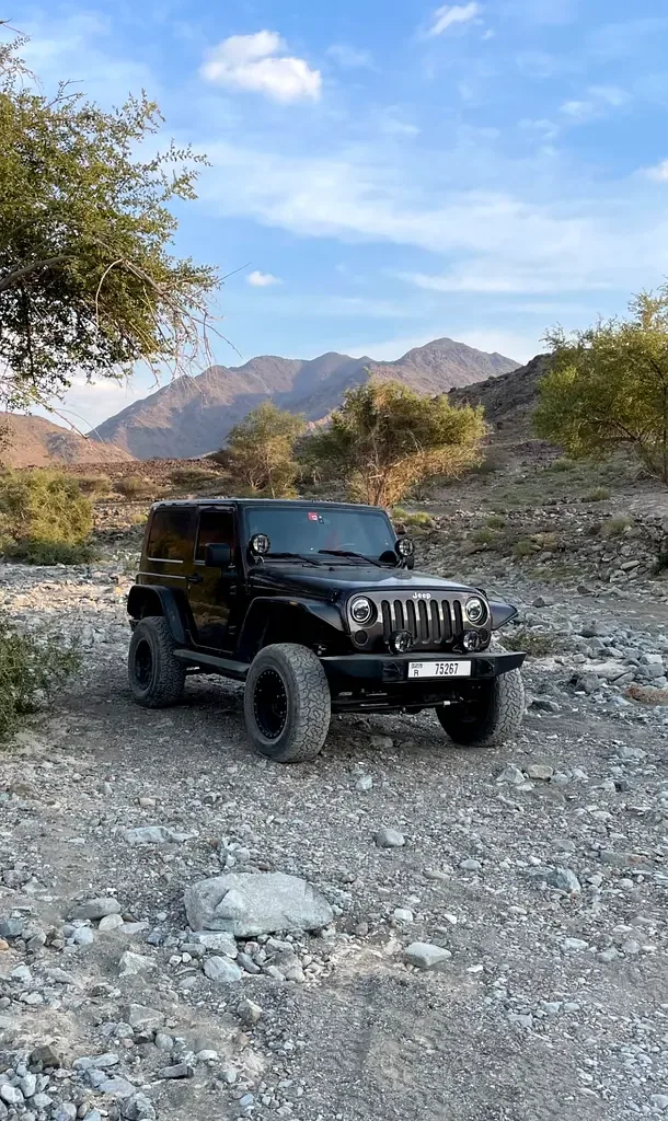 Jeep Wrangler 3.8 AT (199 حصان) - 2