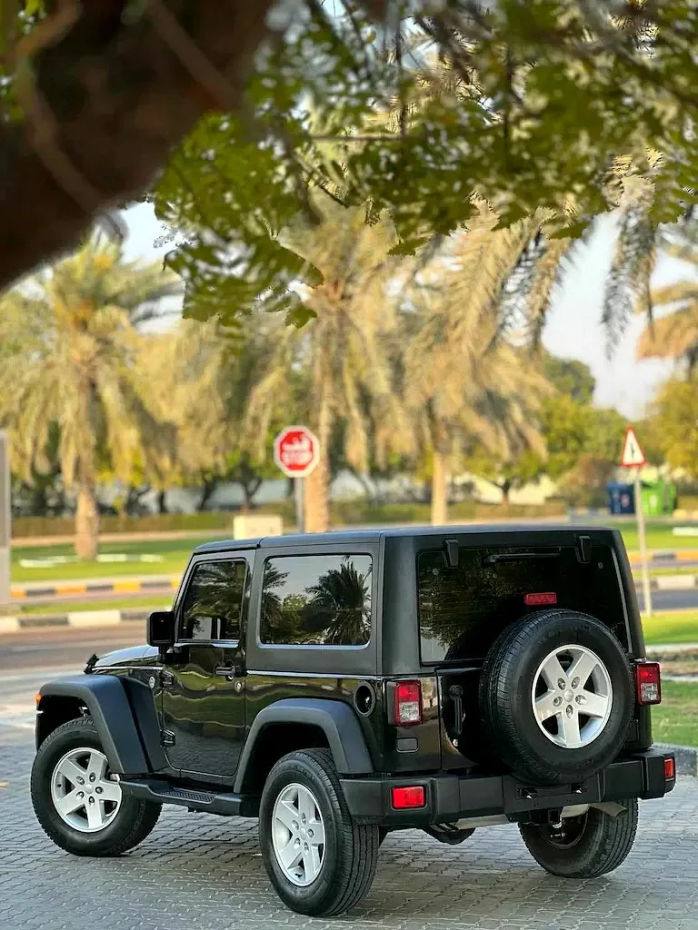 Jeep Wrangler 3.8 AT (199 حصان) - 12