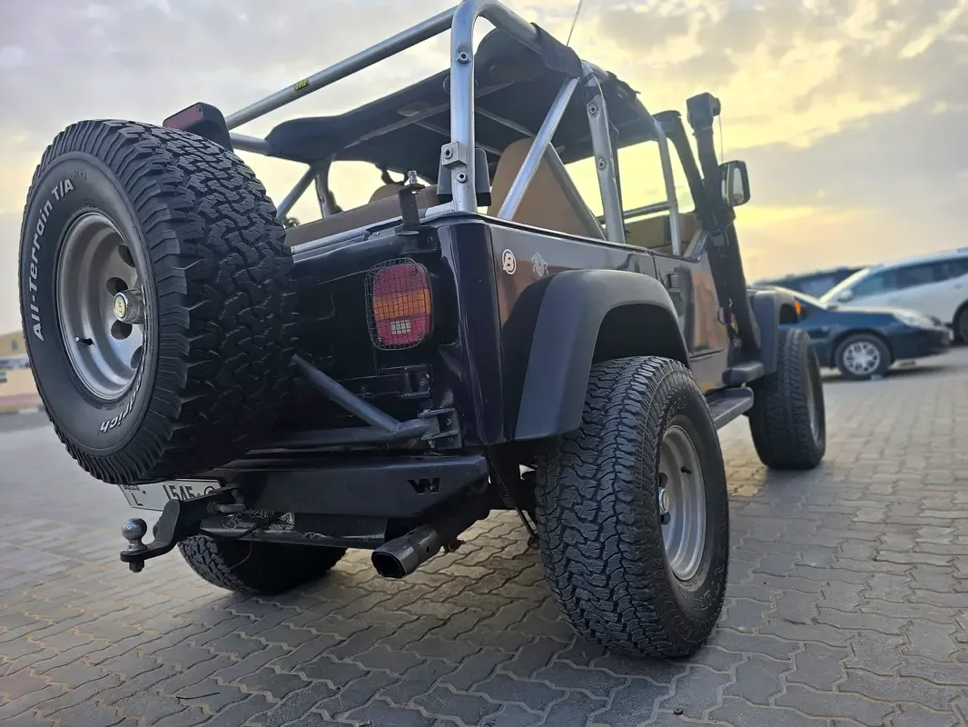 Jeep Wrangler 4.0 MT Rubicon (193 hp) - 15