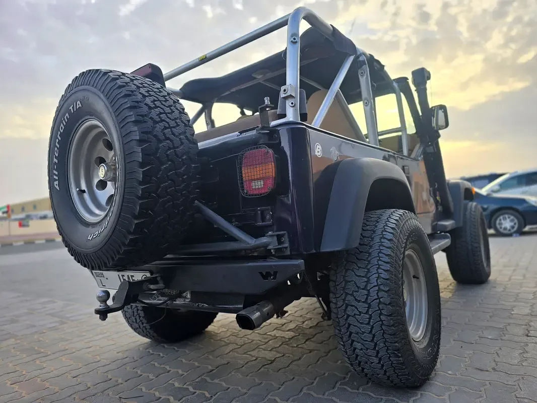 Jeep Wrangler 4.0 MT Rubicon (193 hp) - 16