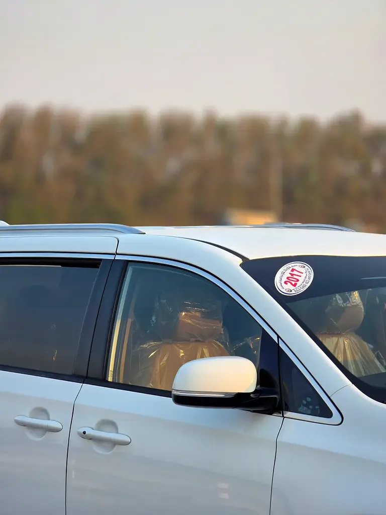 Kia Carnival 3.3 AT (280 hp) - 10