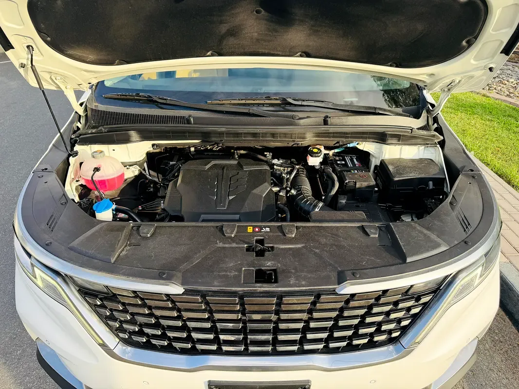 Kia Carnival 3.5 AT (249 hp) - 20