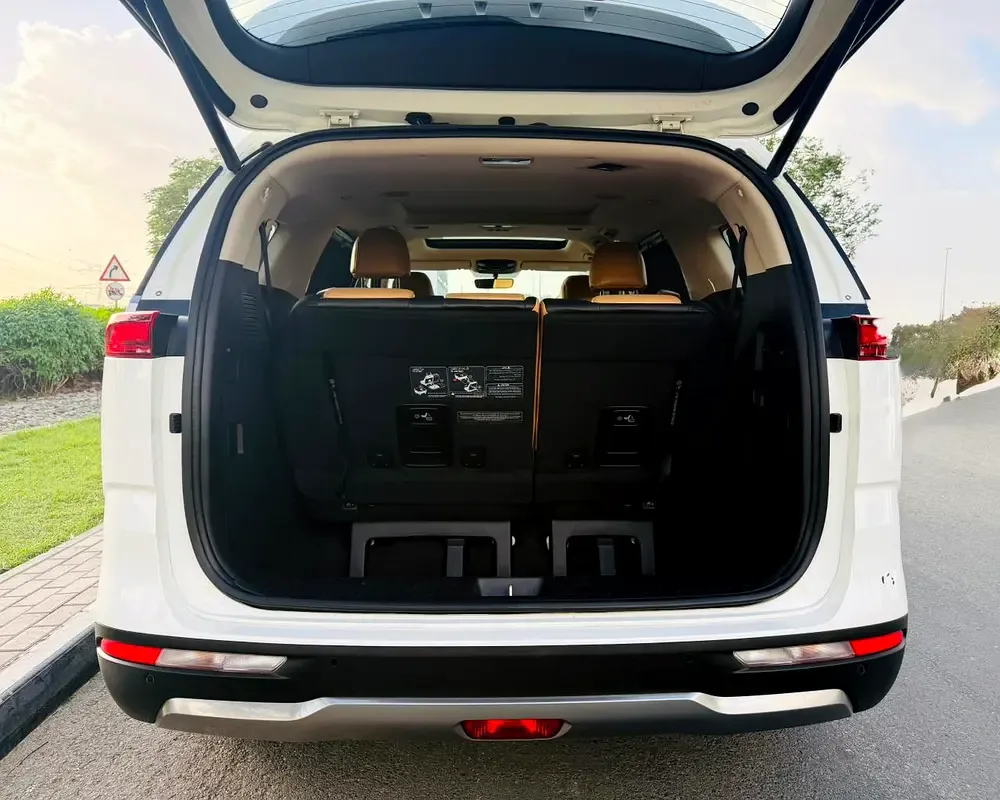 Kia Carnival 3.5 AT (249 hp) - 19
