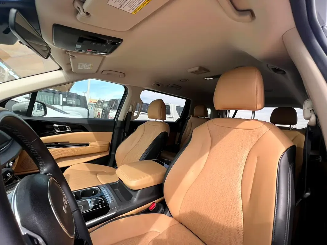 Kia Carnival 3.5 AT (249 حصان) - 14