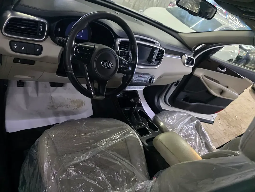 Kia Sorento 2.0 AT (240 hp) - 17