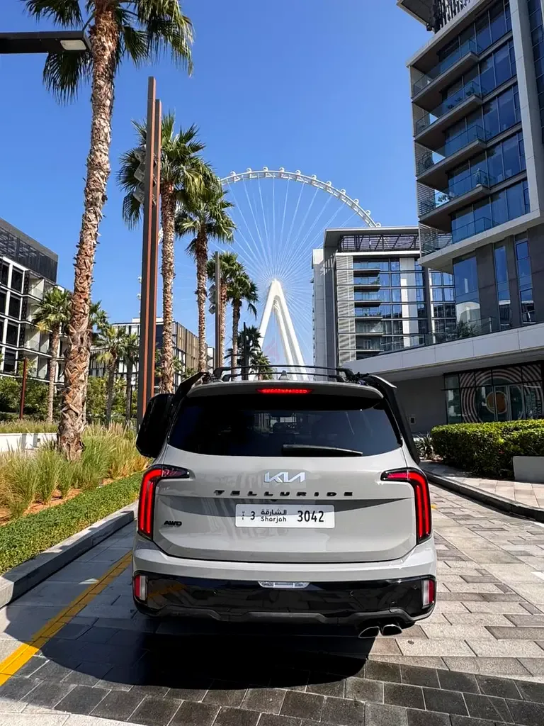 Kia Telluride 3.8 GDI AT (295 hp) - 6
