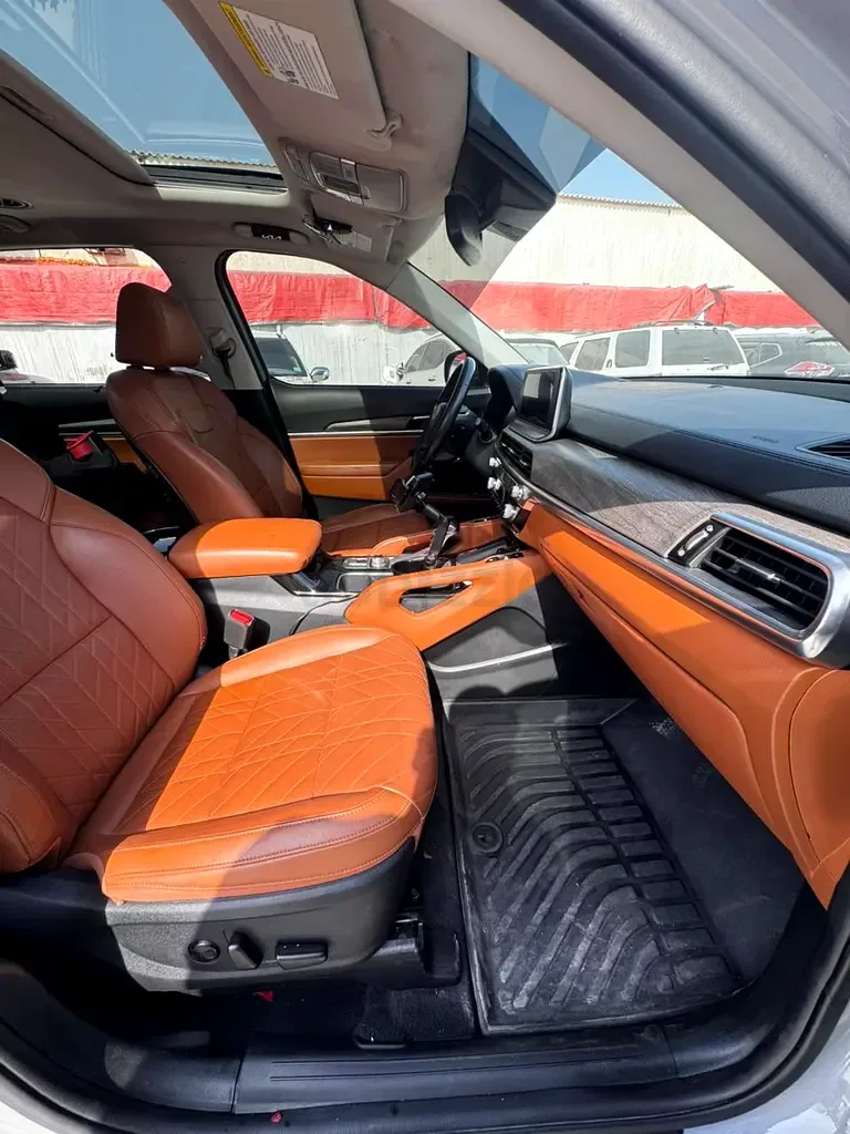 Kia Telluride 3.8 GDI AT (295 hp) - 14