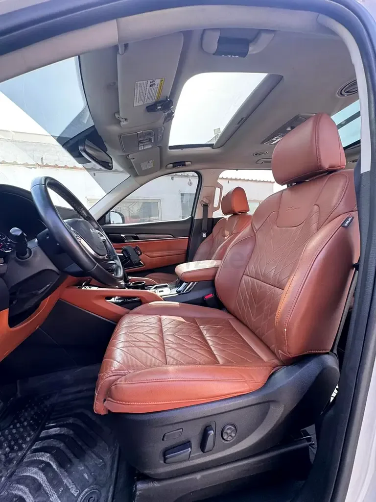 Kia Telluride 3.8 GDI AT (295 hp) - 15