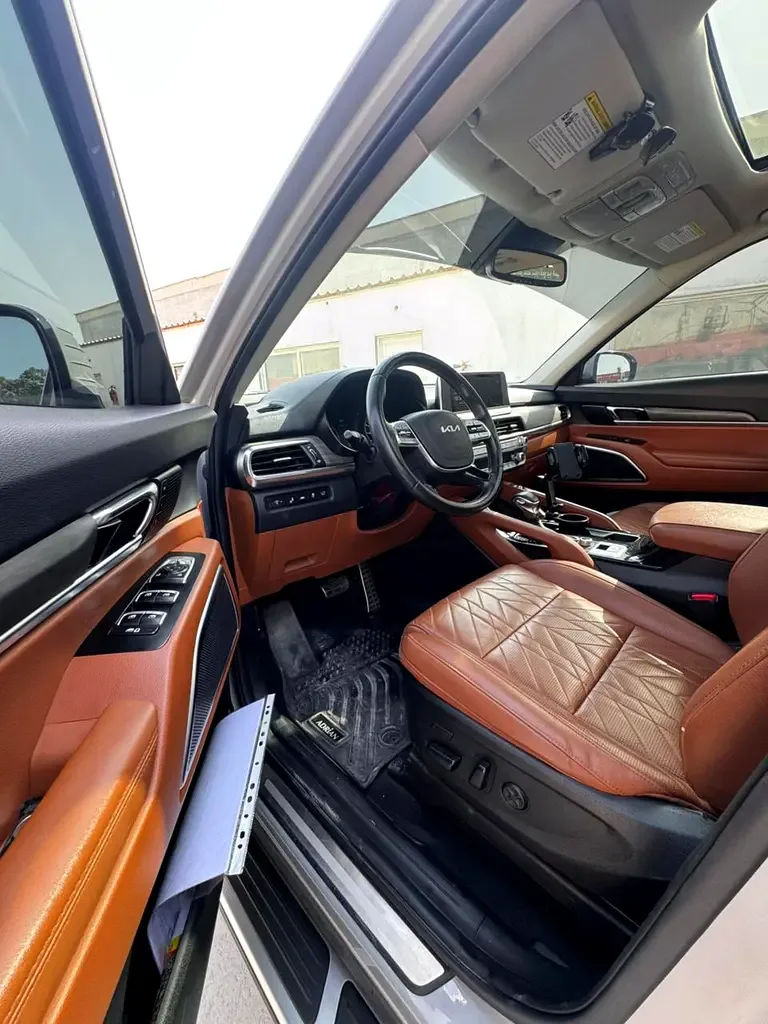 Kia Telluride 3.8 GDI AT (295 hp) - 12