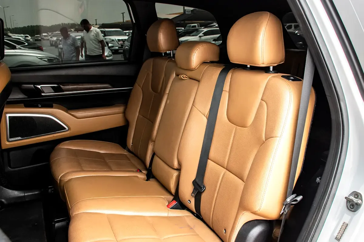Kia Telluride 3.8 GDI AT AWD (295 hp) - 9