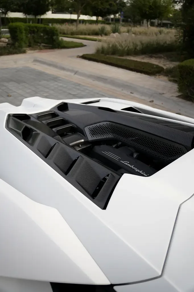 Lamborghini Revuelto 6.5 AMT 4WD (1015 hp) - 14