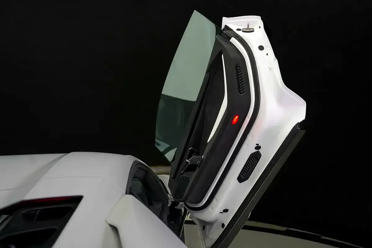 Lamborghini Revuelto 6.5 AMT 4WD (1015 hp) - 20