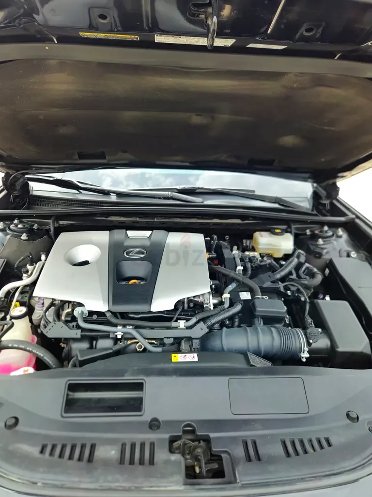 Lexus ES 300h CVT (218 hp) - 13