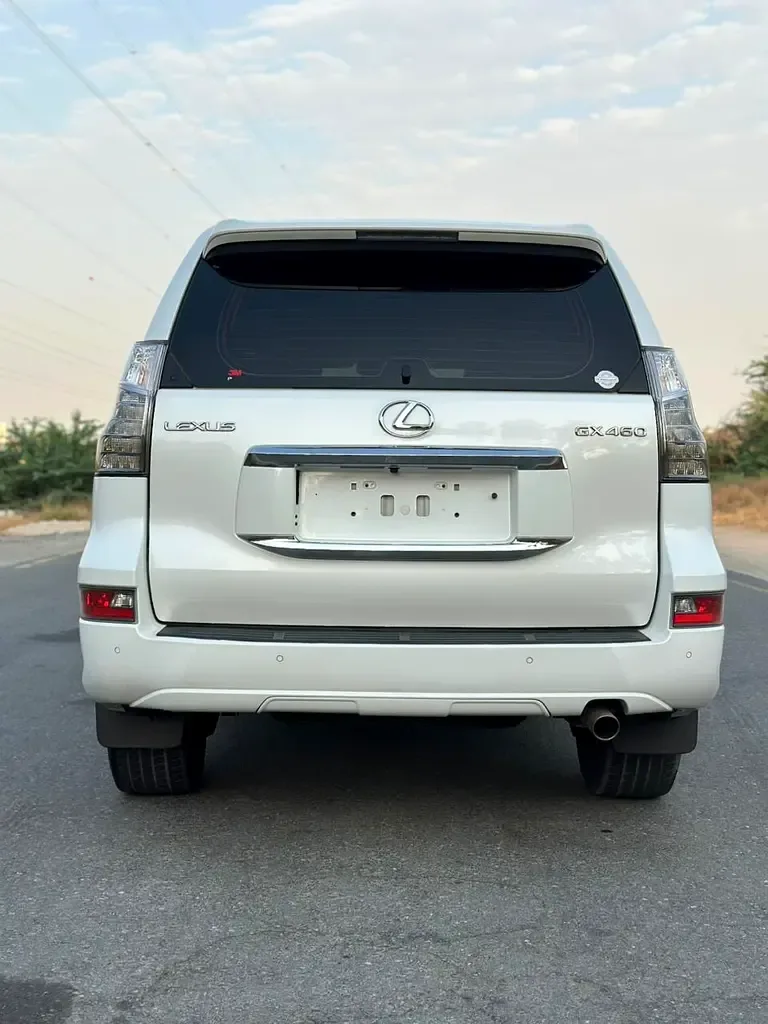 Lexus GX 460 AT AWD (5 مقاعد) (296 حصان) - 5