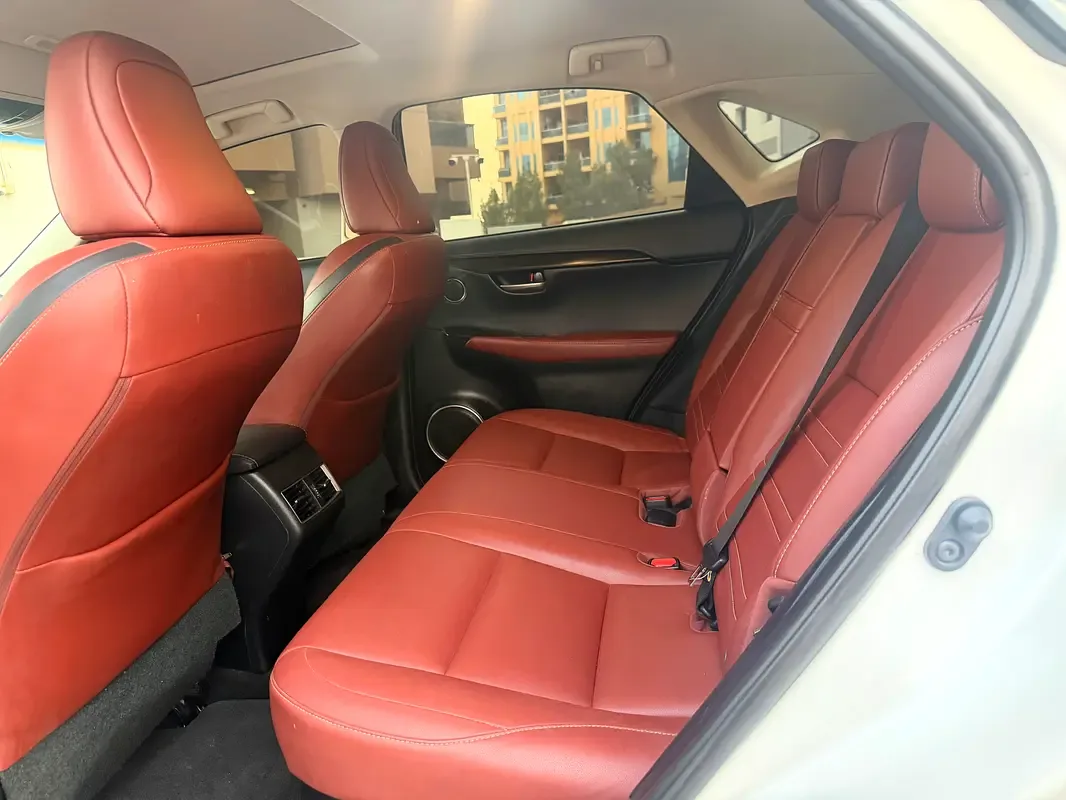 Lexus NX 200t AT AWD (238 حصان) - 11