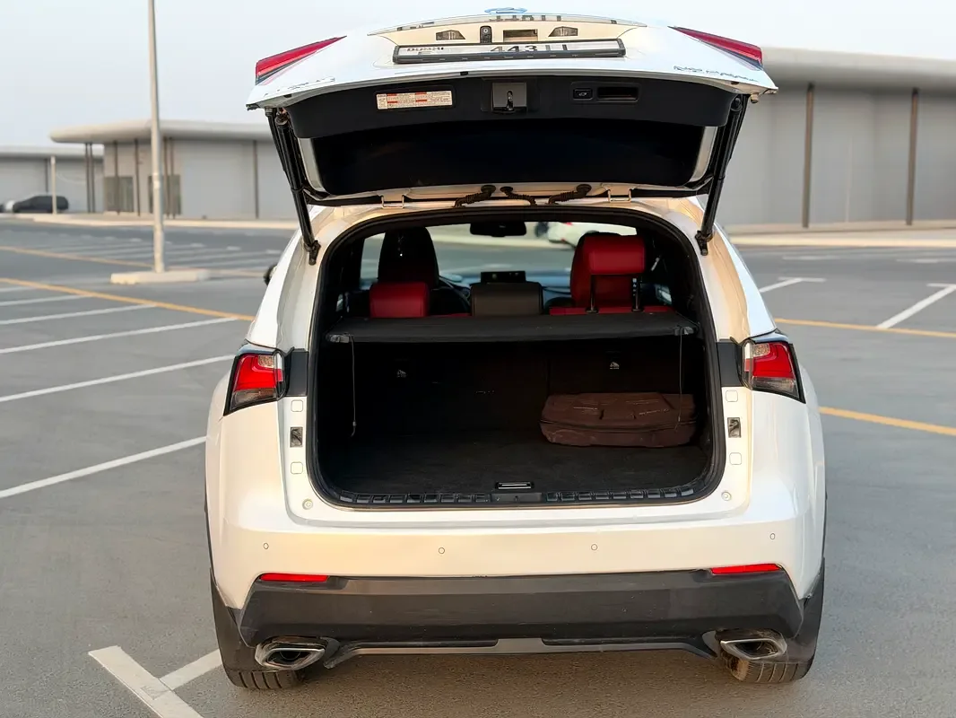 Lexus NX 200t AT AWD (238 حصان) - 10